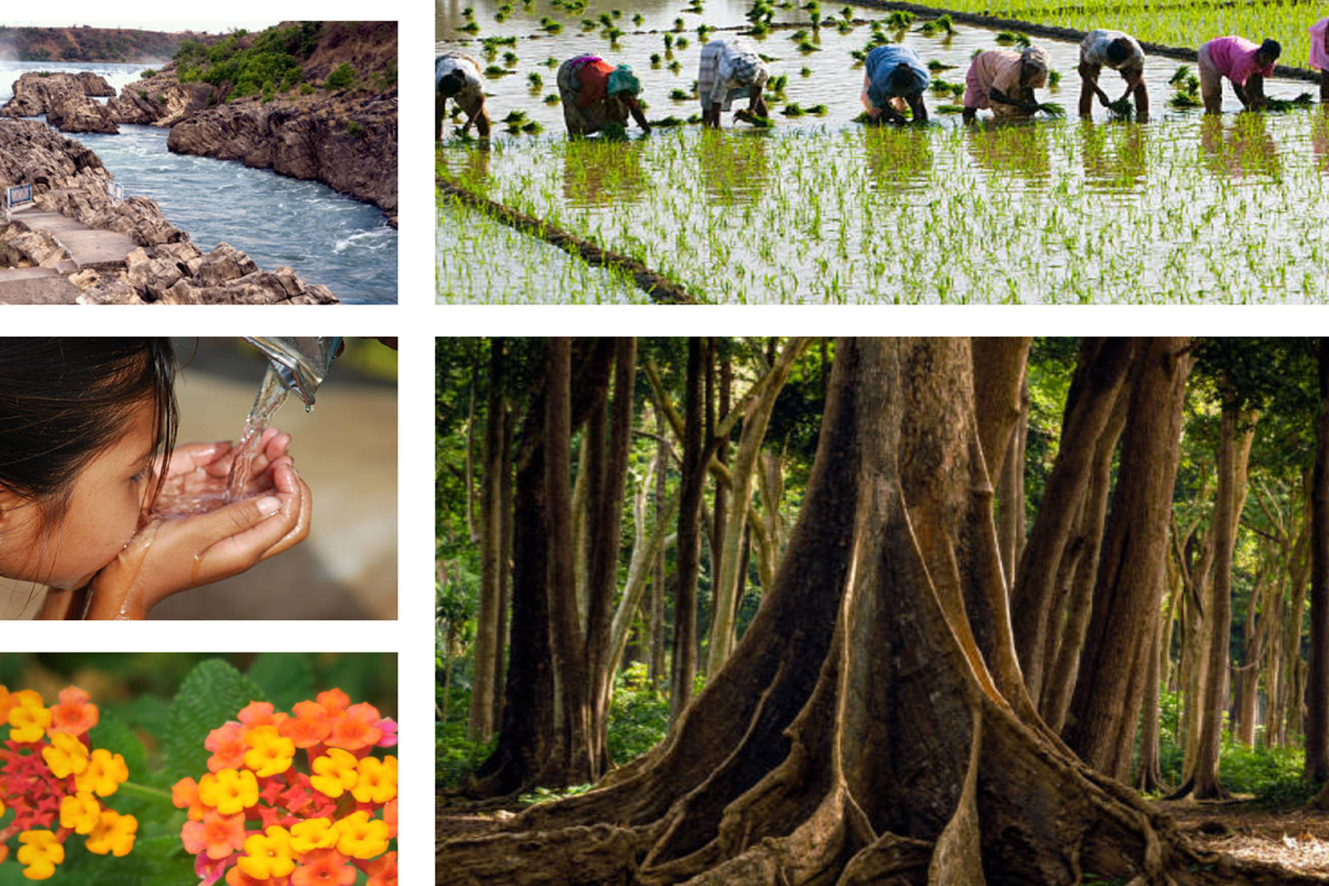 Biodiversity & Eco-care
